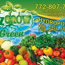 EZ Grow Green
