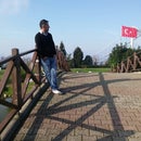 Mehmet Şen