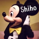 Shiho P