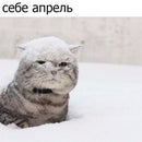 Альберт К