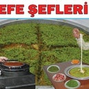 ŞEFLER KÜNEFE