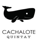 Cachalote Quintay
