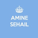 Amine Sehail