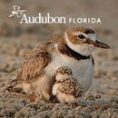 Audubon Florida