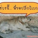 wisit chatthong