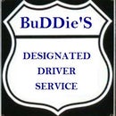 BuDDie&#39;S DD Service