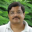Rao Devulapally