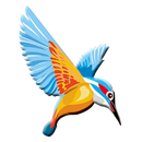 Kingfisher World