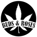 Buds &amp; Roses