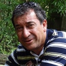 Paulo Pereira
