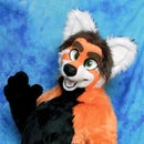 Furry Foxus