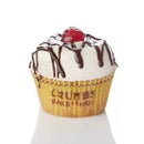 Crumbs Bake Shop