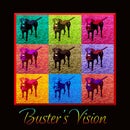 Buster&#39;s Vision Nonprofit