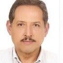 Manuel J Jiménez Flores