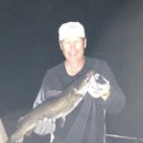 Rick Catchin a catfish