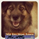 Wee Bar None Ranch