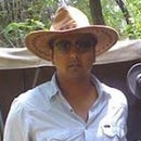 Ajit Koti