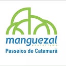 Manguezal Ecoturismo