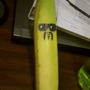 Senior Bananas