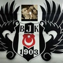 selcuk cimsit