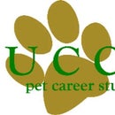 Pucci Pet Career Studios