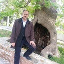 Mahmut Aydın