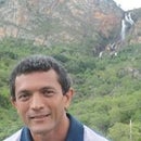 Adalberto Ferreira