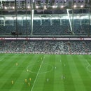 Lion Beşiktaş