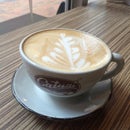 Catuai Coffee