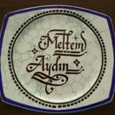 Meltem Aydin