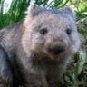 Chamelaeon Wombatowski