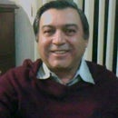 Fernando Amilpa