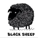 Black Sheep