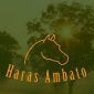 Haras Ambato