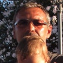 Massimo Fedeli