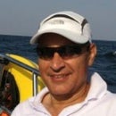Mehmet Avcı