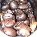 Moziro Coffee