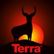 Terra Contracting Marketing