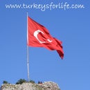 Turkey&#39;s For Life
