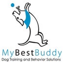 My Best Buddy Dog Training