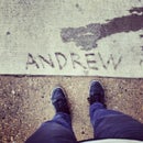 Andrew