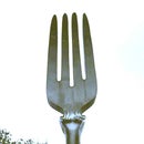 Hyde Park Fork