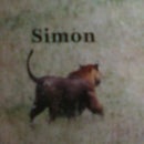 Simon Boas