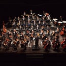 FORM Orchestra Filarmonica Marchigiana
