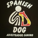 Spanish Dog León