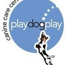 Play Dog Play