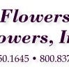 FlowersFlowers Inc