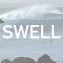 SWELL Surf Shop