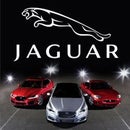 Interactive Jaguar