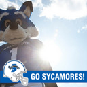 Sycamore Sam